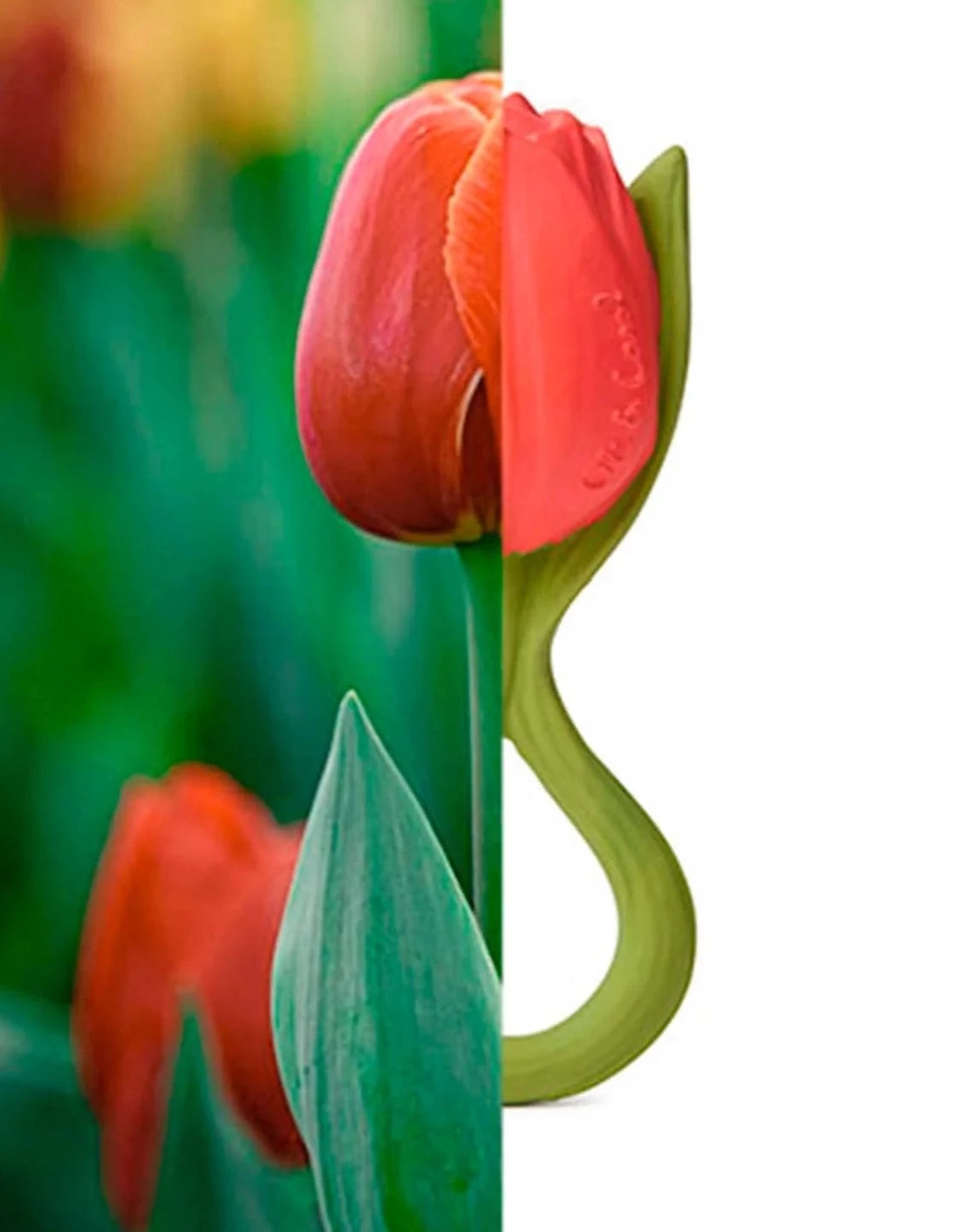 Theo the Tulip - Mordedor Oli&Carol