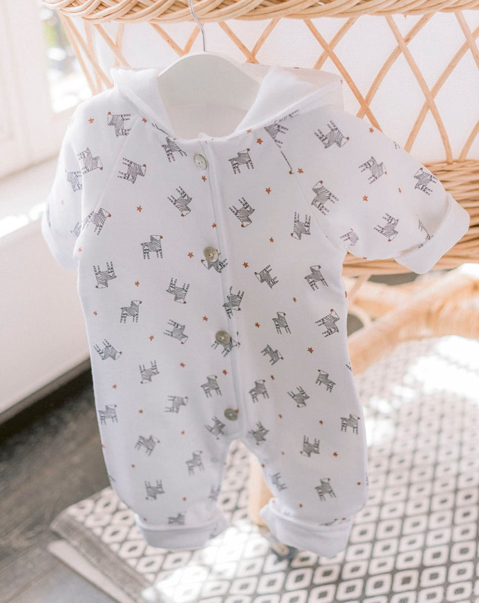 Zebras Diver « Quelque chose de Jaime »