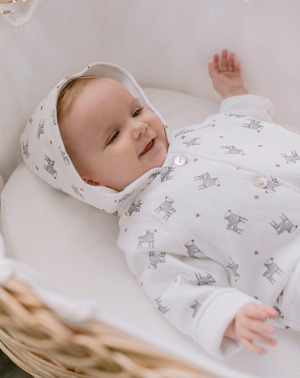 Zebras Diver « Quelque chose de Jaime »