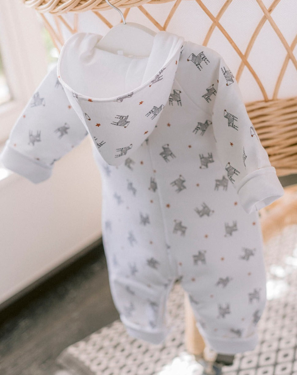 Zebras Diver « Quelque chose de Jaime »