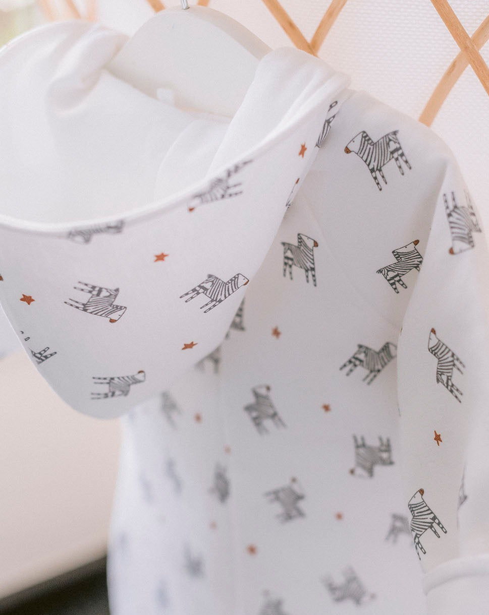 Zebras Diver « Quelque chose de Jaime »