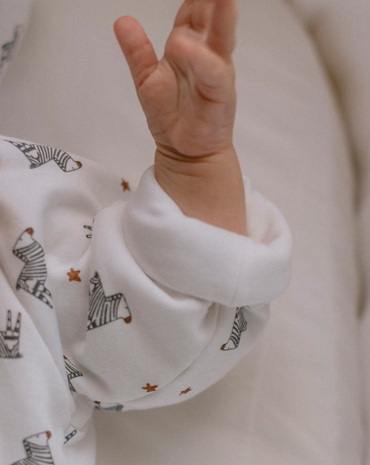 Zebras Diver « Quelque chose de Jaime »