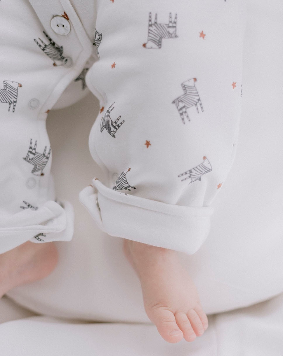 Zebras Diver « Quelque chose de Jaime »