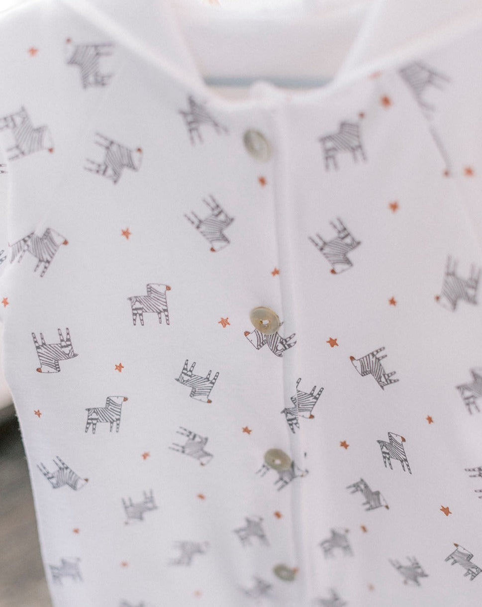 Zebras Diver « Quelque chose de Jaime »