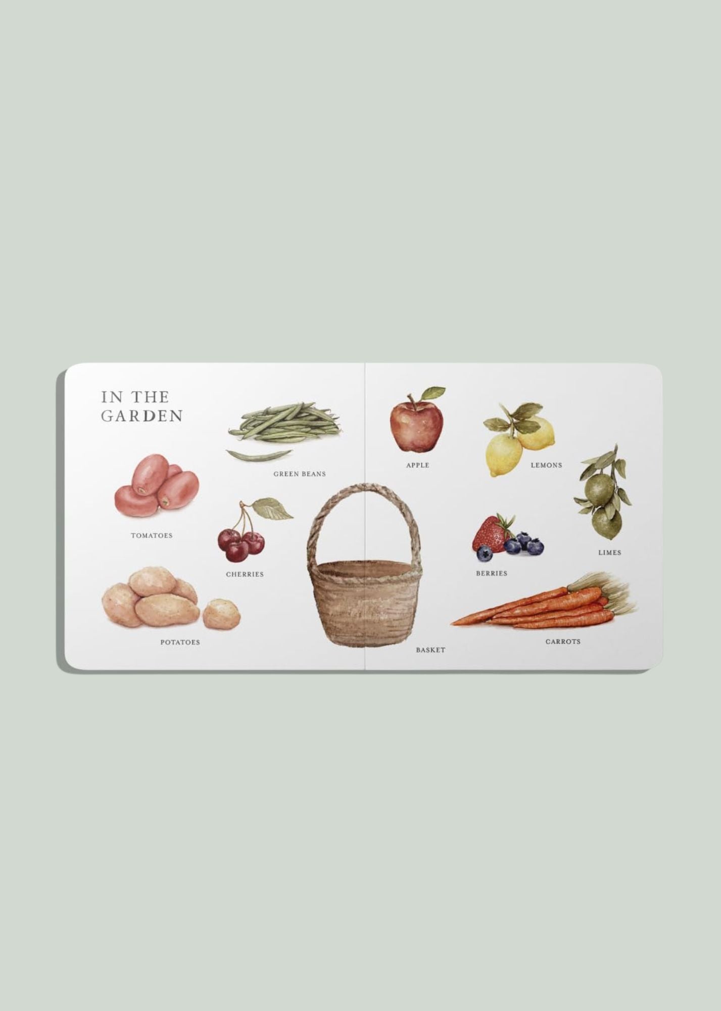 Our Big Book of First Words