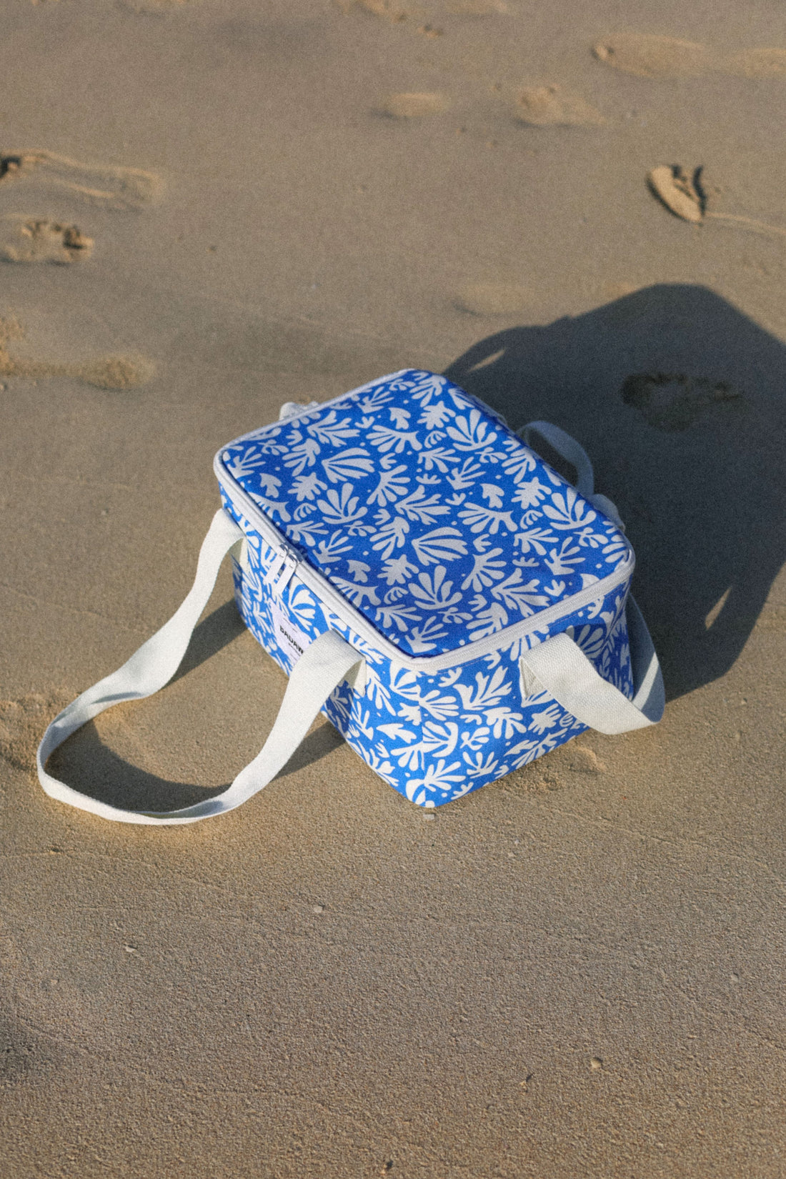 Glacière de plage