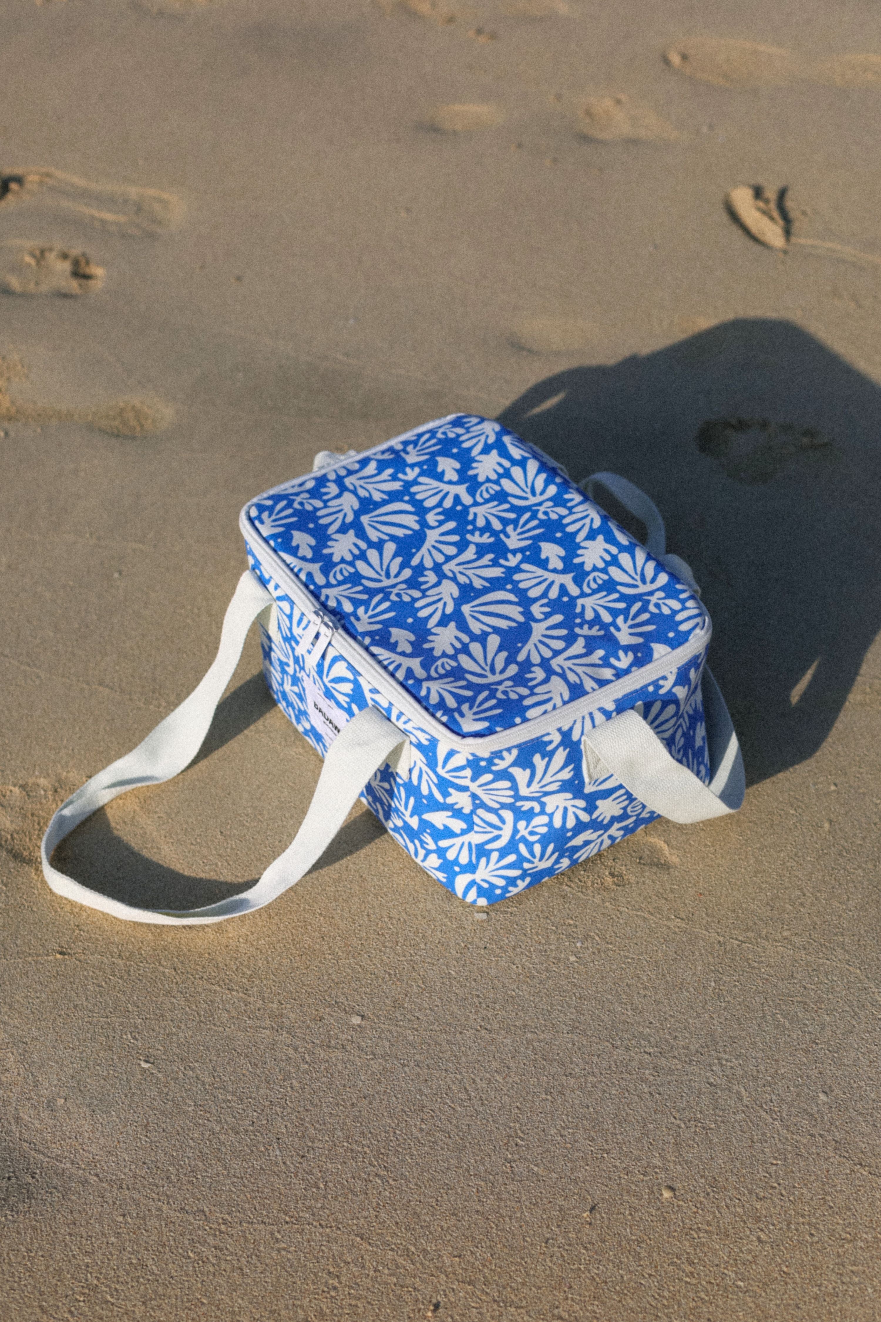 Nevera de Playa